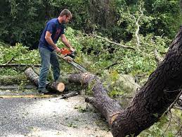 Best Seasonal Cleanup (Spring/Fall)  in Orida City, FL